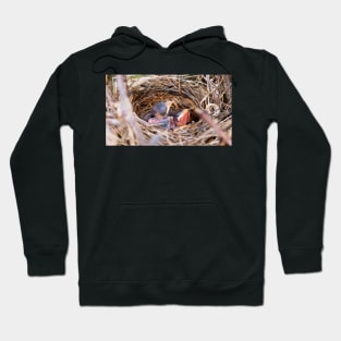 Two Baby Northern Cardinals In Their Nest. Hoodie